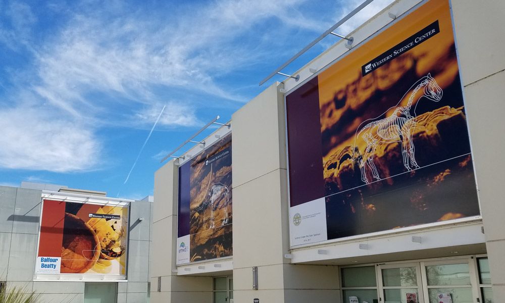 Environmental banners for museum
